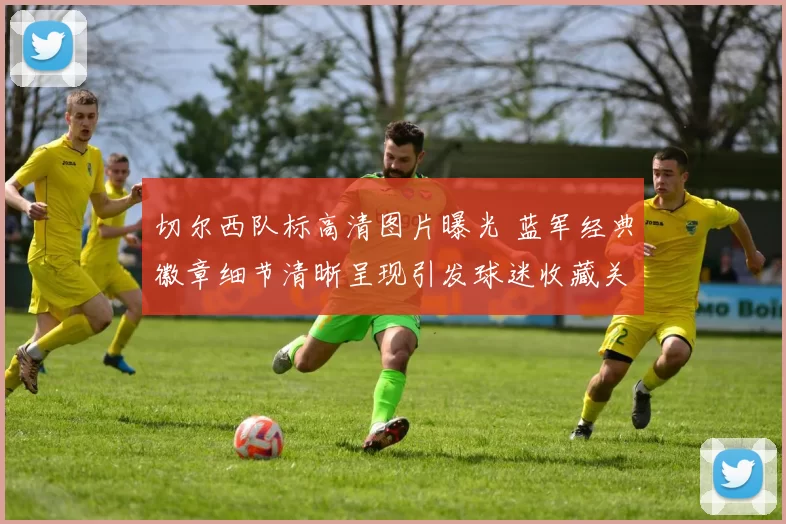 切尔西队标高清图片曝光 蓝军经典徽章细节清晰呈现引发球迷收藏关注