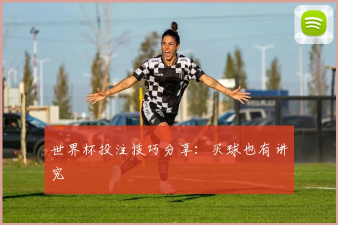世界杯投注技巧分享：买球也有讲究
